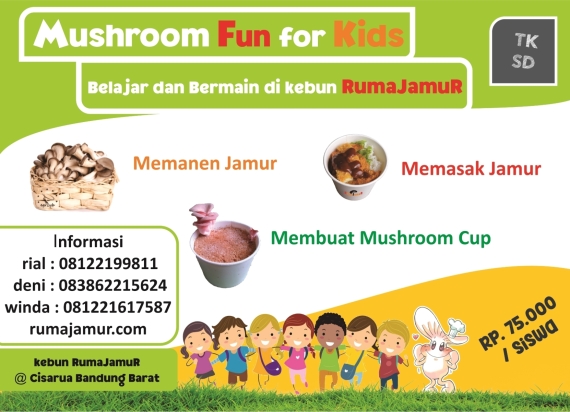 mushroom fun for student.kunjungan anak sekolah.belajar berkebun jamur