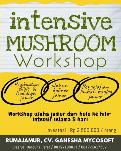 pelatihan jamur intensif. workshop jamur pembuatan bibit jamur budidaya jamur perusahaan jamur bandung indonesia jamur tiram jamur shiitake jamur kancing jamur kuping